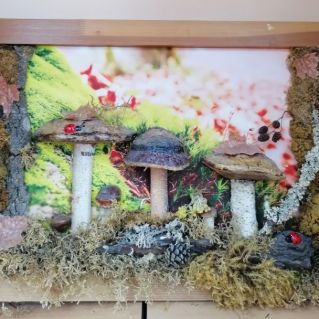 Красота осенней природы