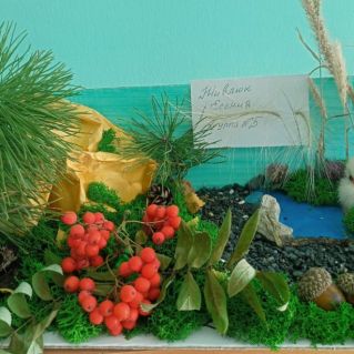 Симфония природы