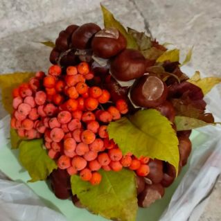 "Подарок осени"