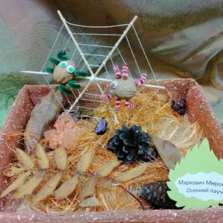 "Осенний паучок"