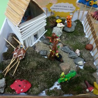 "Жители осеннего леса"