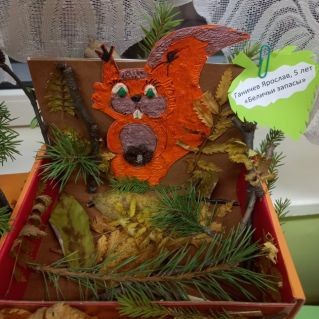 "Беличьи запасы"