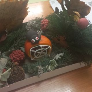 Домик паучка