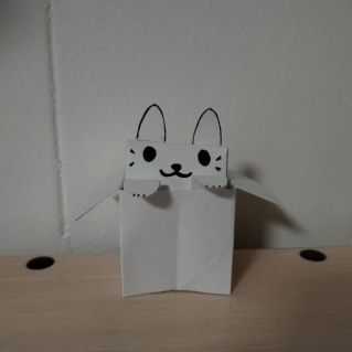 Милый котик