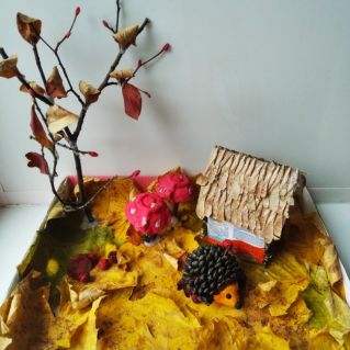 Ёж, Ёж, где живешь?