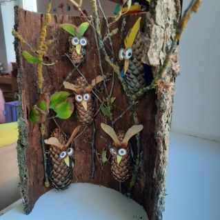 "В гости к Совушкам"