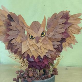 "Совушка-сова"