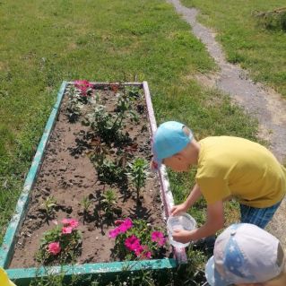 Наша клумба