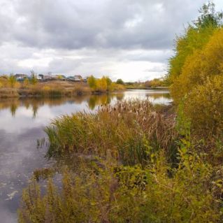 "Осенний шарм"