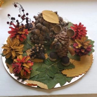 "Лесная полянка"