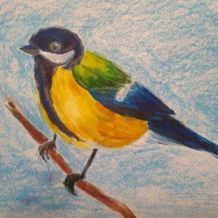 Привет, лесная птичка - красавица синичка.