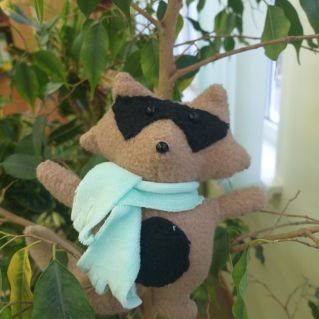 Енот в подарок