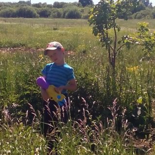 Лето в родном крае