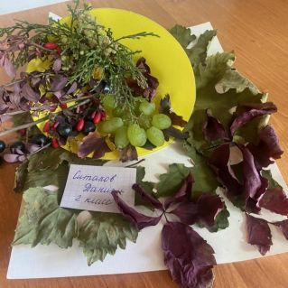 "Дары осени"