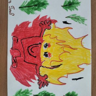 Защитим природу!