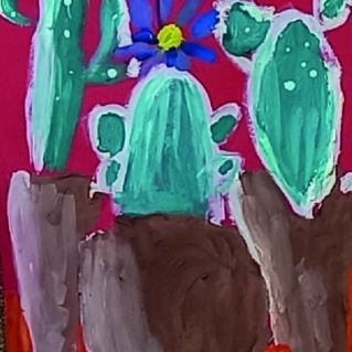 Мои кактусы.