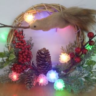 "Новый год встречают все" номинация: ёлочная игрушка