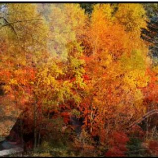 «Художник Осень»