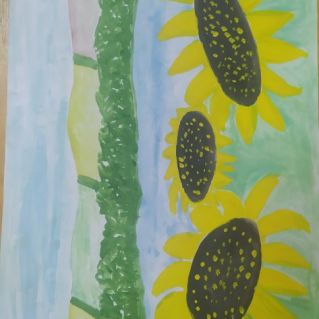 Подсолнухи