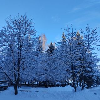 Зимнее утро