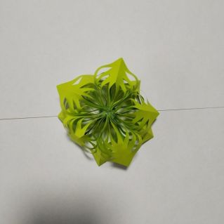 Посланница зимы