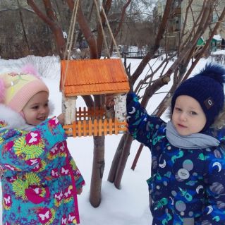 Кормим птичек-невеличек!