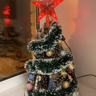 Ёлочка - Иголочка