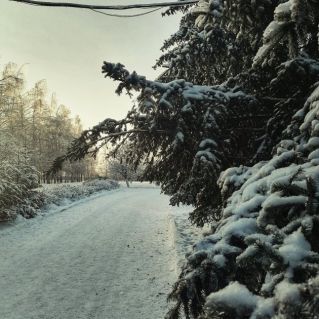 Зимний школьный двор