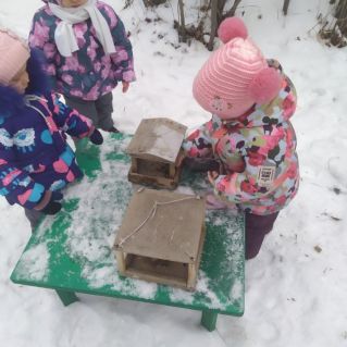 "Покормите птиц зимой"