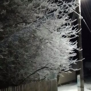 Зимняя ночь