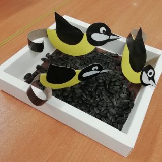 Птичья столовая - Синички