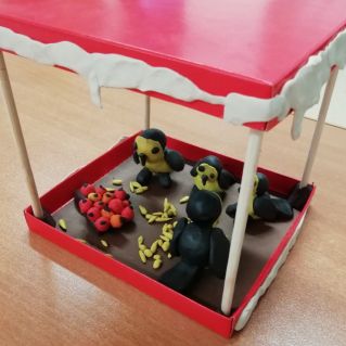 Покормите птиц зимой