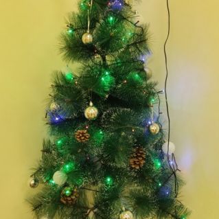 "Зелëное чудо"