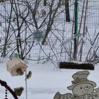 "Вкусняшки для пташки"