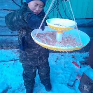 Поделка "Столовая для птиц"