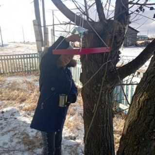 Поделка "Столовая для птиц"