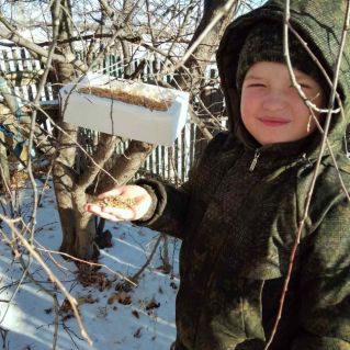 Поделка "Столовая для птиц"