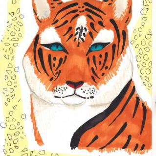 Амурский тигр