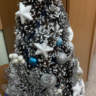 "Лесная  красавица"