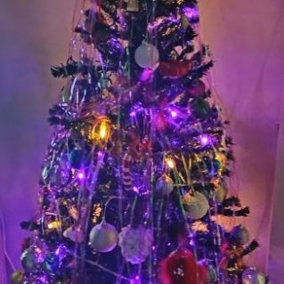 Ёлочка -красавица