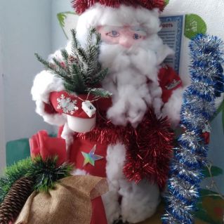 Новогодний гость