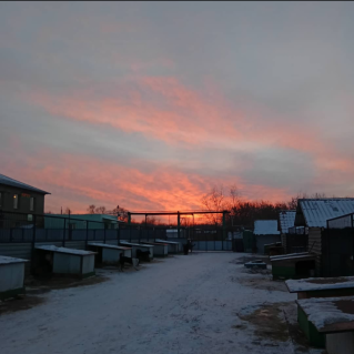 «Зима в приюте»