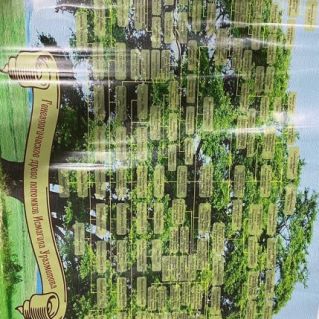 Генеалогическое древо