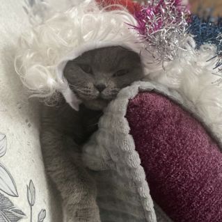 Добрый Дедушка Мороз