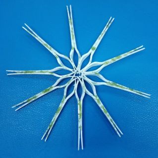 "Танцевала за окном новогодняя снежинка"