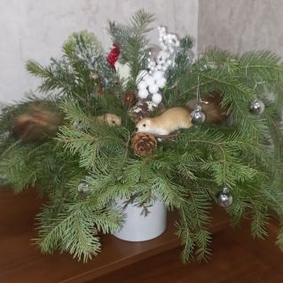 Сказочные белочки