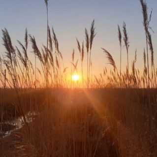 Ханкайский заповедник, Спасский район