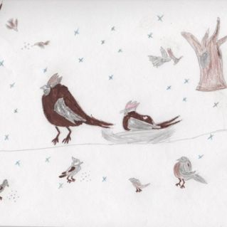 Птицы зимой