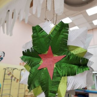 "Снежинка - звезда"