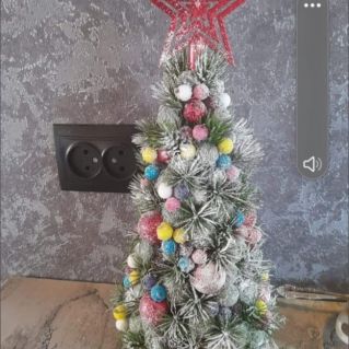 «Принцесса таёжного края»